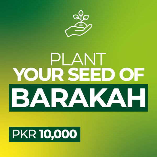 Plant Your Seed of Barakah